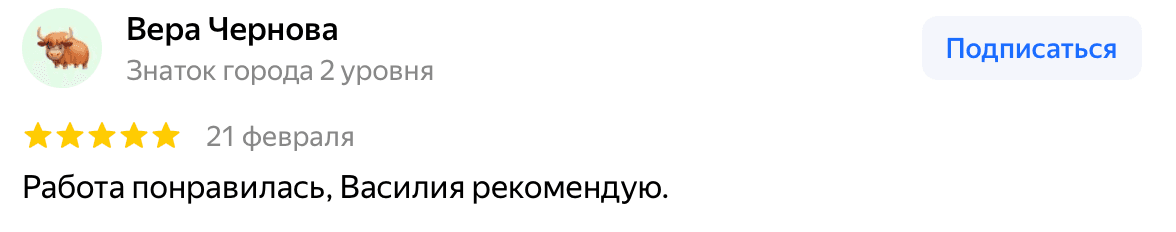 Отзыв Вера Чернова — скриншот Яндекс.Карт